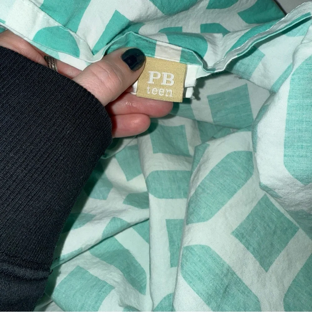 Pottery Barn Peyton euro pillow shams